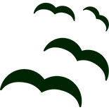 <p>Traz noções de independência e liberdade.</p>
